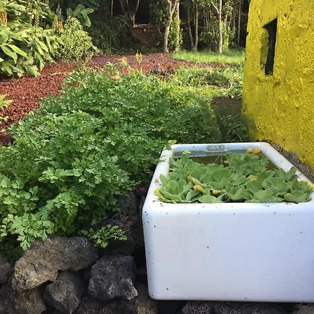 Holiday home Quinta Da Faia Horta (Azores)