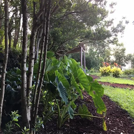 Quinta Da Faia