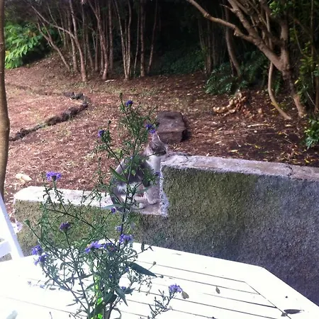 Quinta Da Faia Сasa de vacaciones
