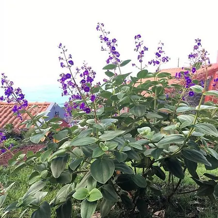 Casa de Férias Quinta Da Faia
